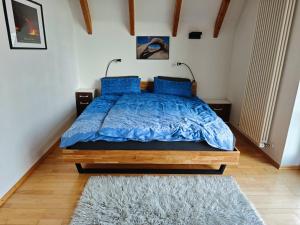 a bedroom with a bed with blue comforter and a rug at Ferienhaus Ellmi in Kronach