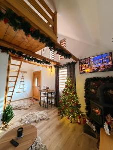 TV/trung tâm giải trí tại EscapeTinyCabin by IezerVenture