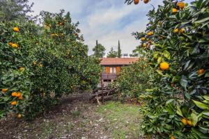 Zahrada ubytování House Holiday Dilek