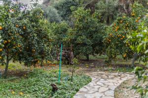 Zahrada ubytování House Holiday Dilek