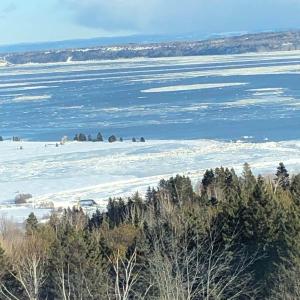 un champ enneigé avec des arbres et une masse d'eau dans l'établissement 302 - Full View - See Look Admire - Pool & Gym, à Baie-Saint-Paul