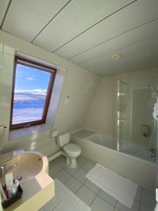 une salle de bain avec baignoire et toilettes et une fenêtre dans l'établissement Le Grand Connétable, à Châteauneuf-de-Randon