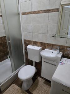 a bathroom with a toilet and a sink at Apartman Wegele in Teslić +1 photo