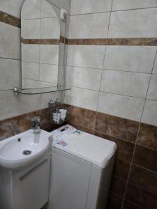 a small bathroom with a sink and a toilet at Apartman Wegele in Teslić