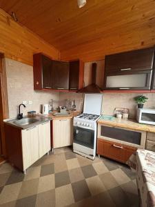 een keuken met een fornuis en een spoelbak bij Karpatski Prostory in Slavske