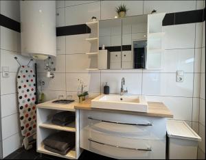 een kleine badkamer met een wastafel en een aanrecht bij Sankt Veit Apartment in Sankt Veit an der Glan