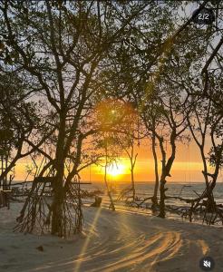 Naturlandskabet i nærheden af bed and breakfast-stedet