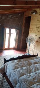 En eller flere senge i et værelse på El buho