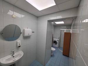 a bathroom with a sink and a toilet and a mirror at Viru Väljak Homes in Tallinn
