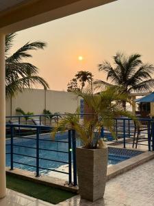 un palmier en pot à côté d'une piscine dans l'établissement Alojamento Local - Amor e Mar, à Luanda