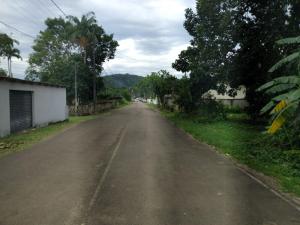 een lege weg met bomen aan de kant van de weg bij Hospedagem estação in Morretes