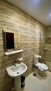 a bathroom with a sink and a toilet and a television at Makan Pyramids Hotel in Cairo +76 photos