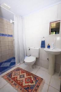 un bagno con wc, lavandino e doccia di Casa da Índia - Pousada Jussara a Joinville
