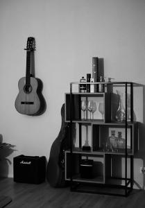 een boekenkast met een gitaar en een gitaarinventaris bij Black Forest Retreat in Niederdorla +21 foto's