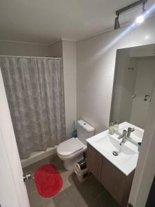 een badkamer met een toilet, een wastafel en een spiegel bij Departamento claro solar in Temuco