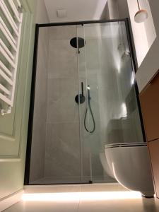 a bathroom with a shower with a sink and a toilet at Moon Deer in Jelenia Góra