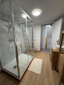 a glass shower in a bathroom with a sink at Escapade à Pierry in La Celle-sous-Gouzon