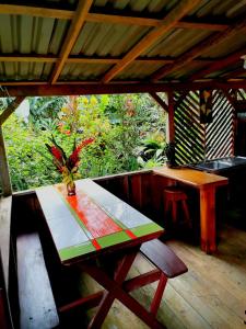 Billede fra billedgalleriet på Cabinas Cocalitos i Rincón