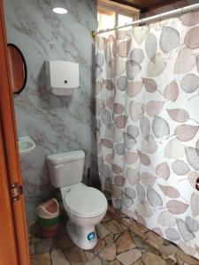 un bagno con un water e una tenda da doccia di Hospedaje Mágico Arcángel a Ibarra