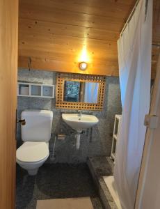 a bathroom with a toilet and a sink at Rustico Guidotti in Bellinzona