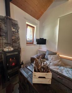 een woonkamer met een bank en een houtkachel bij Rustico Guidotti in Bellinzona