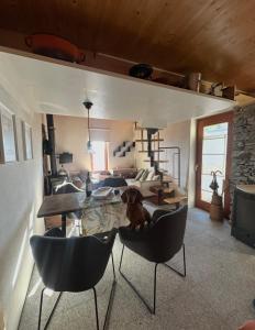een hond die op stoelen in een woonkamer zit bij Rustico Guidotti in Bellinzona