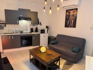 a living room with a couch and a table at Studio de la Doller in Masevaux