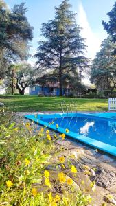 una piscina blu in un parco con fiori di La Celeste a La Granja