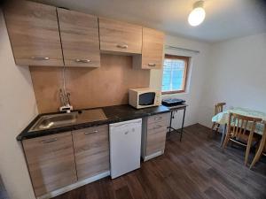 Kuchyň nebo kuchyňský kout v ubytování Rekreační chatky na Fotbalovém stadionu Senec + 16 fotografií