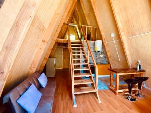 a living room with a ladder in a tiny house at Araucaria Lodge Cabaña Alpina cerca del Parque Conguillío in Curacautín