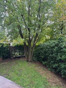 Jardí fora de SognaRE appartament