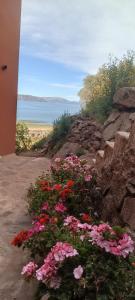 Naturlandskabet i nærheden af landstedet + 5 billeder