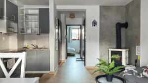 Køkken eller tekøkken på Apartament Skandynawska Prostota z basenem i sauną