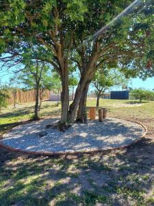 een boom in een park met grind eromheen bij Los Lirios in Villa Giardino