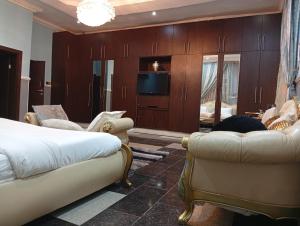 a bedroom with a bed and a couch and a tv at Andweruth Residences in Abuja