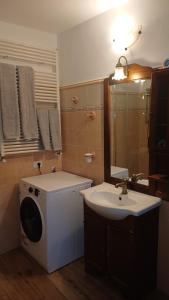 ein Badezimmer mit Waschmaschine und Waschbecken in der Unterkunft La Tavernetta in Ponte della Venturina