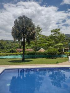 een blauw zwembad met een palmboom op de achtergrond bij Hotel Finca la Playa in Villeta