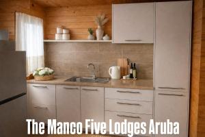 eine Küche mit Spüle und Kühlschrank in der Unterkunft Manco Five Lodges Aruba in Aruba