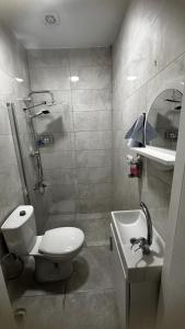 a bathroom with a toilet and a sink and a shower at Yasemin Pansiyon Plus in Seferihisar