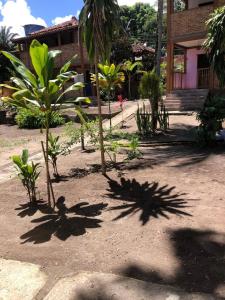 En have udenfor Potyra Guest House