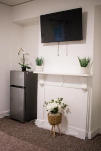 ein Fernseher an einer Wand mit Pflanzen darauf in der Unterkunft Cozy home in Kings Lynn