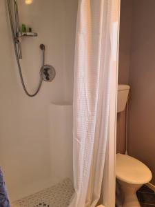 een douchegordijn in een badkamer met een toilet bij Lanark Mews in Te Kopuru +9 foto's
