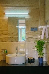 La salle de bains est pourvue d'un lavabo, d'un miroir et d'une plante. dans l'établissement Elegant Home Stay, à Ella 99 autres photos