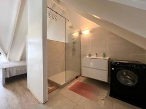 ein Badezimmer mit Waschmaschine und Dusche in der Unterkunft Villa with pool and panoramic view in Rivière-Pilote