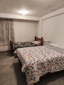 een slaapkamer met twee bedden in een kamer bij Posada el Pino 