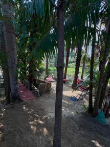 En have udenfor Pousada Vale dos Buritis