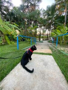 Gæster der bor på Pousada Vale dos Buritis