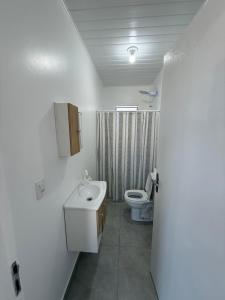 een witte badkamer met een toilet en een wastafel bij Loft novo e bem localizado in Biguaçu +15 foto's