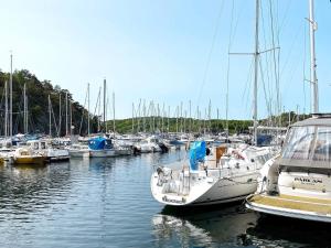 Naturlandskabet i nærheden af feriehuset