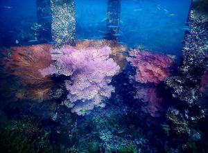 Příroda nedaleko prázdninového domu